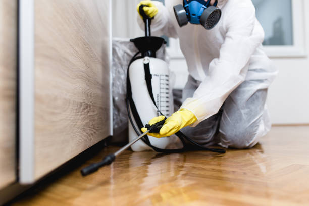 Best Cockroach Control Services  in Bidwell, OH