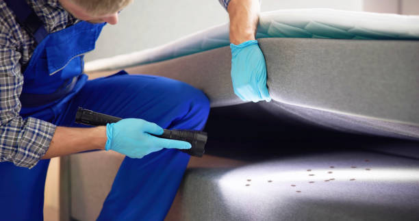 Best Mosquito Control Services  in Bidwell, OH